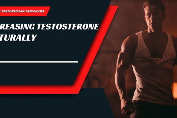 Increasing Testosterone Naturally