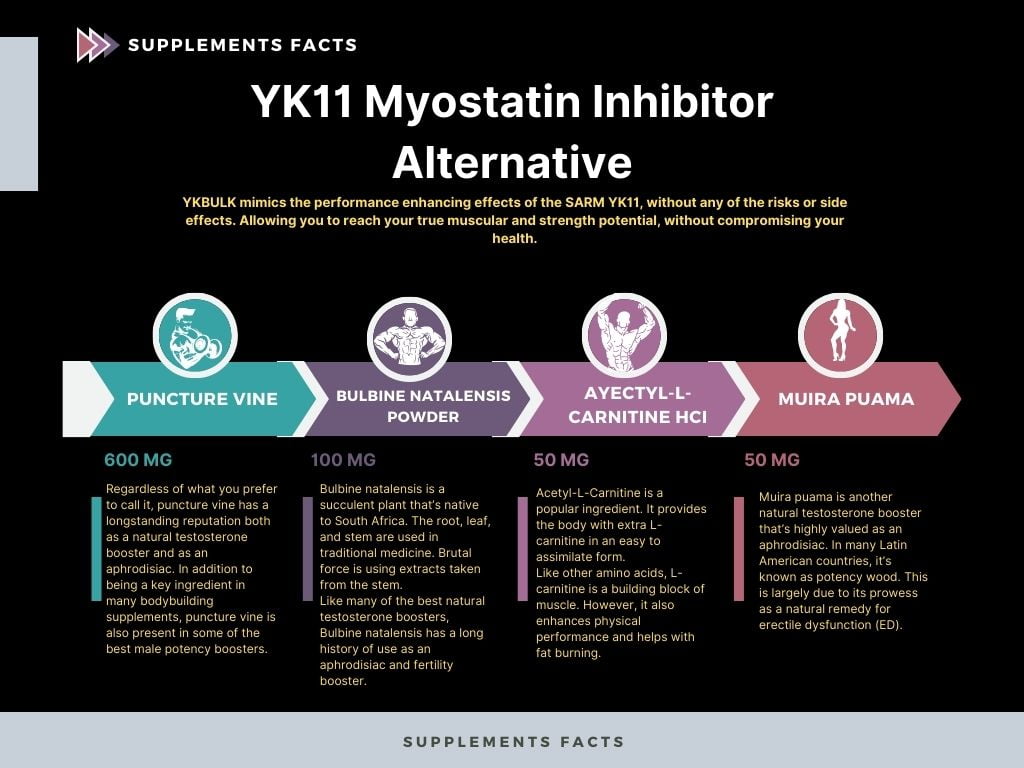 YK11 Myostatin Inhibitor Alternative - Supplements Facts