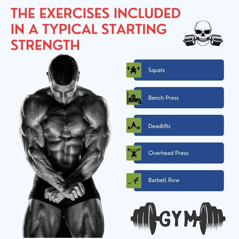 The exercises included in a typical Starting Strength